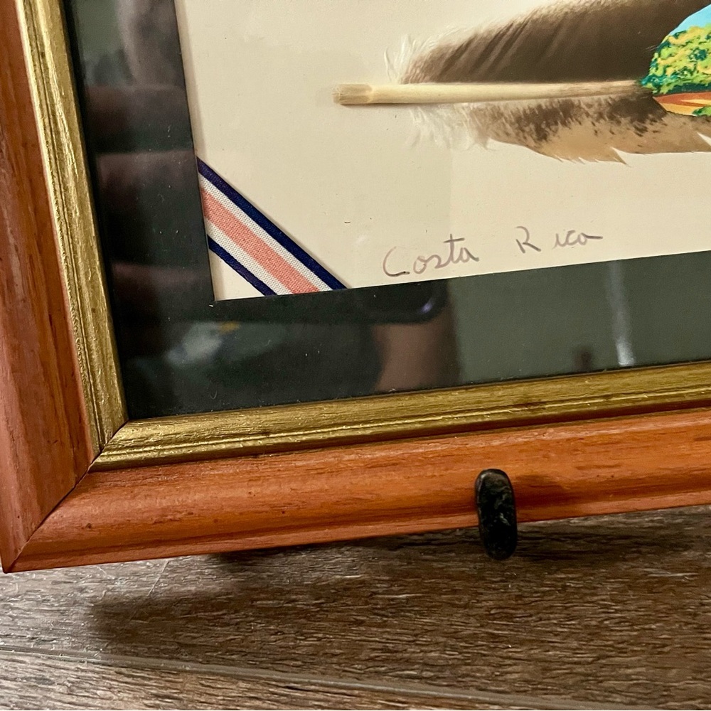 Framed Costa Rica Artwork with Wooden Frame hand painted on Bird Feather 7/13 in - Picture 5 of 11